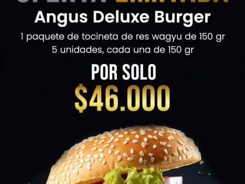 hamburguesa angus